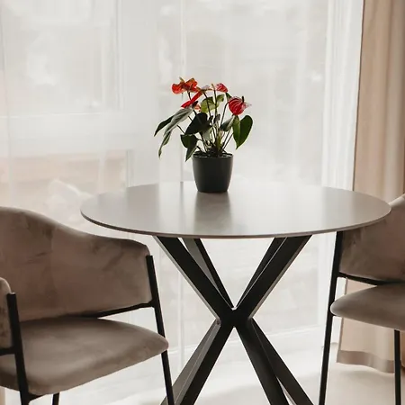 White House Iris Napoca - 2 - Parcare Gratuita, Self Check In 24h, Aeroport 15 Minute ! Apartment