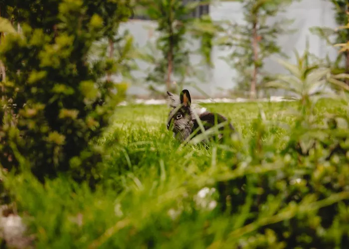 Daire White House Iris Napoca - 2 - Parcare Gratuita, Self Check In 24h, Aeroport 15 Minute ! Kaloşvar